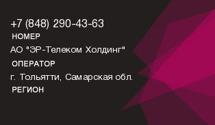 8482904363